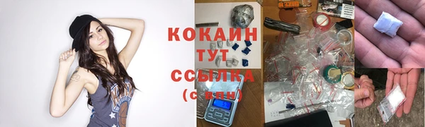 дурь Нея