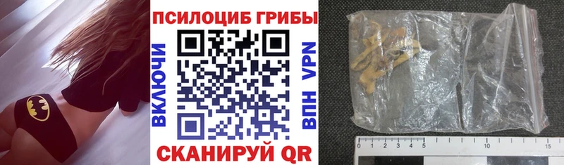 Псилоцибиновые грибы Magic Shrooms  где продают   Зима 