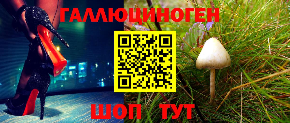 Галлюциногенные грибы ЛСД  Псилоцибиновые грибы GOLDEN TEACHER  Зима 