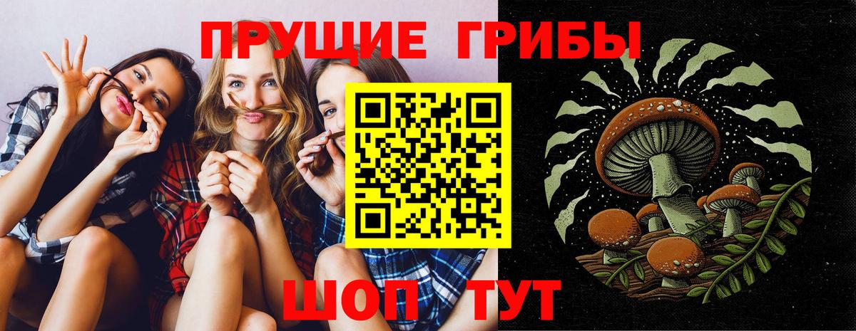 Галлюциногенные грибы GOLDEN TEACHER  Псилоцибиновые грибы MAGIC MUSHROOMS  Вход с VPN  наркотики  Зима 