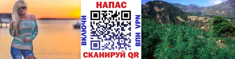 цены omg как войти darknet какой сайт Зима Шишки марихуана семена