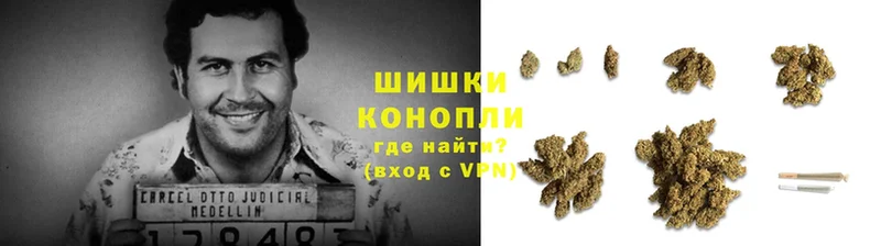 Каннабис SATIVA & INDICA  Зима 