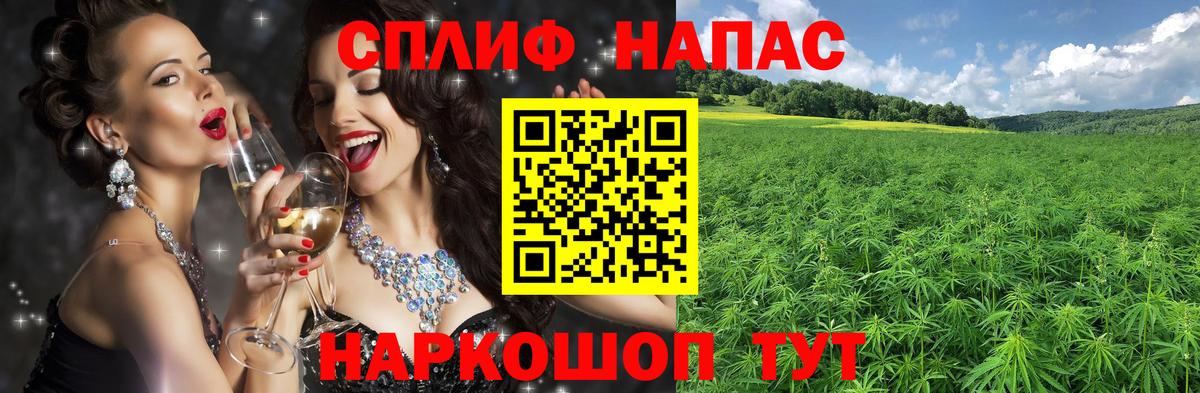 Канабис сатива Зима
