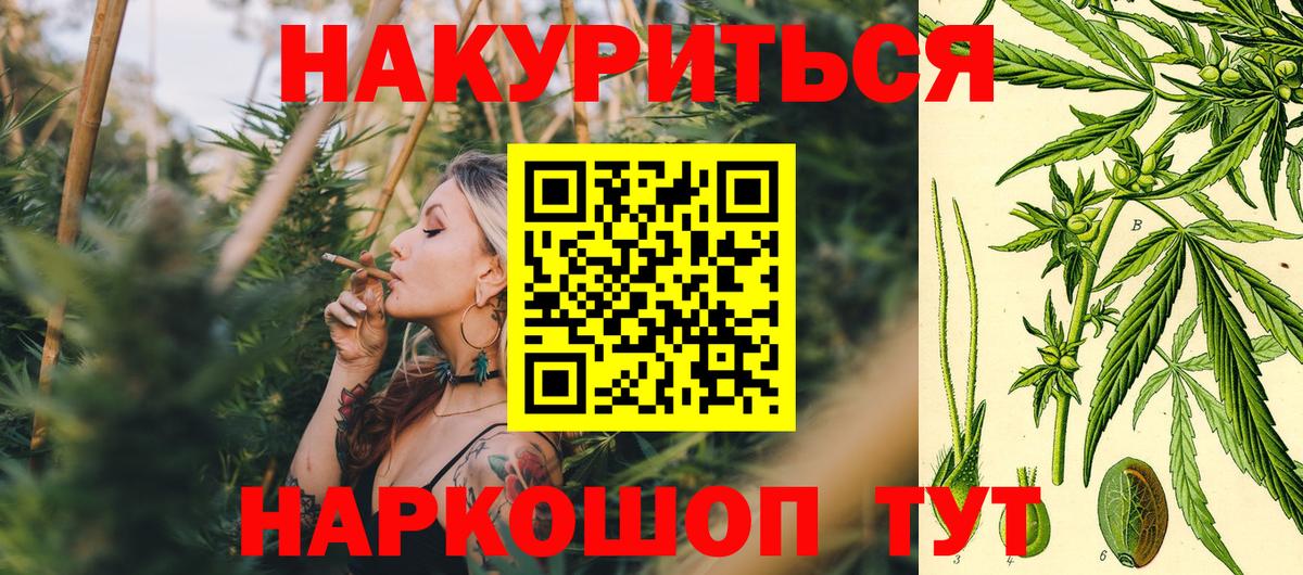 МАРИХУАНА план  Бошки Шишки THC 21%  Бошки марихуана MAZAR  Зима 